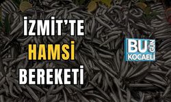 İzmit’te Hamsi Bereketi