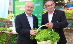 Gebze’de Sebze Fidesi Dağıtıldı: “Tarım Varsa Hayat Var”