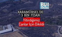 Karamürsel'de 3 Bin Fidan Yitirdiğimiz Canlar İçin Dikildi