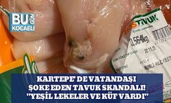 Kartepe' de Vatandaşı Şoke Eden Tavuk Skandalı! "Yeşil Lekeler ve Küf Vardı"