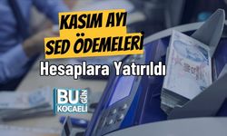 Kasım Ayı SED Ödemeleri Hesaplara Yatırıldı