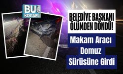 Belediye Başkanı Ölümden Döndü! Makam Aracı Domuz Sürüsüne Girdi