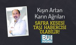 Kışın Artan Karın Ağrıları Safra Kesesi Taşı Habercisi Olabilir!
