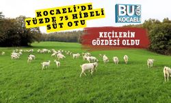 Kocaeli’de Yüzde 75 Hibeli Süt Otu Keçilerin Gözdesi Oldu