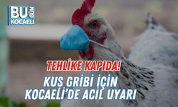 Tehlike Kapıda! Kuş Gribi İçin Kocaeli’de Acil Uyarı