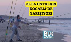 Olta Ustaları Kocaeli'de Yarışıyor!
