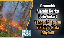 Ormanlık Alanda Korku Dolu Anlar! Yangın Rüzgarın Etkisiyle Hızla Büyüdü