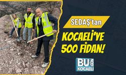 SEDAŞ'tan Kocaeli'ye 500 Fidan!