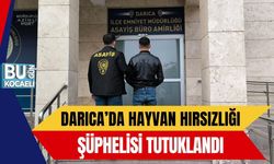Darıca’da Hayvan Hırsızlığı Şüphelisi Tutuklandı
