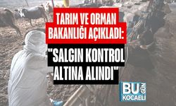 Tarım ve Orman Bakanlığı Açıkladı:"Salgın Kontrol Altına Alındı"