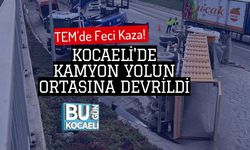 TEM'de Feci Kaza! Kocaeli'de Kamyon Yolun Ortasına Devrildi