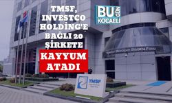 TMSF, Investco Holding'e Bağlı 20 Şirkete Kayyum Atadı
