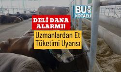 Deli Dana Alarmı! Uzmanlardan Et Tüketimi Uyarısı