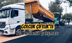 Gölcük Çiftlik’te Yol Yenileme Çalışması