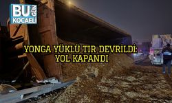 Yonga Yüklü Tır Devrildi: Yol Kapandı