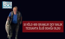 10 Kilo 400 Gramlık Dev Balık Tezgahta İlgi Odağı Oldu
