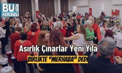 Asırlık Çınarlar Yeni Yıla Birlikte “Merhaba” Dedi