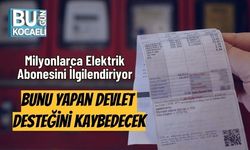 Milyonlarca Elektrik Abonesini İlgilendiriyor: Bunu Yapan Devlet Desteğini Kaybedecek