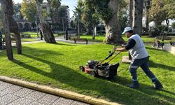Büyükşehir’den Değirmendere Sahiline Kapsamlı Peyzaj Bakımı