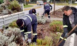 Körfez Kışa Çiçeklerle Hazırlanıyor