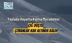 Yaylada Hayatta Kalma Mücadelesi: Çığ Düştü, Çobanlar Kar Altında Kaldı