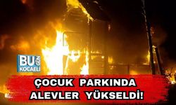 Çocuk Parkında Alevler Yükseldi!