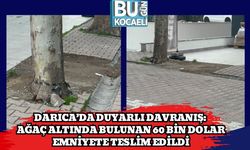 Darıca’da Duyarlı Davranış: Ağaç Altında Bulunan 60 Bin Dolar Emniyete Teslim Edildi