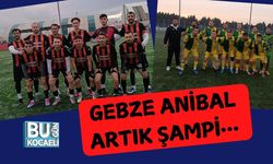 Gebze Anibal Artık Şampi…