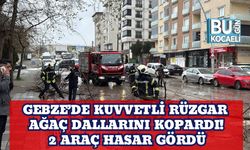 Gebze’de Kuvvetli Rüzgar Ağaç Dallarını Kopardı! 2 Araç Hasar Gördü