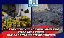 Gıda Denetiminde Korkunç Manzara! Yerde Ölü Fareler, Raflarda Tarihi Geçmiş Ürünler