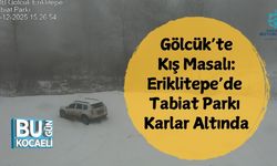 Gölcük’te Kış Masalı: Eriklitepe’de Tabiat Parkı Karlar Altında