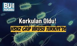Korkulan Oldu! H3N2 Grip Virüsü Türkiye’de