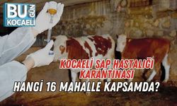 Kocaeli Şap Hastalığı Karantinası: Hangi 16 Mahalle Kapsamda?