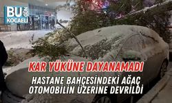 Kar Yüküne Dayanamadı: Hastane Bahçesindeki Ağaç Otomobilin Üzerine Devrildi