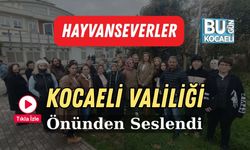 Hayvanseverler Kocaeli Valiliği Önünden Seslendi