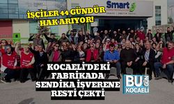 İşçiler 44 Gündür Hak Arıyor! Kocaeli'de ki Fabrikada Sendika İşverene Resti Çekti