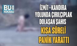 İzmit–Kandıra Yolunda Çırılçıplak Dolaşan Şahıs Kısa Süreli Panik Yarattı