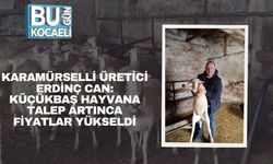 Karamürselli Üretici Erdinç Can: Küçükbaş Hayvana Talep Artınca Fiyatlar Yükseldi