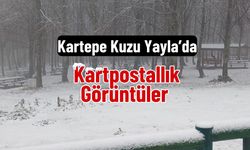 Kartepe Kuzu Yayla’da Kartpostallık Görüntüler