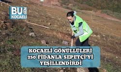 Kocaeli Gönüllüleri 250 Fidanla Sepetçi’yi Yeşillendirdi