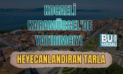 Kocaeli Karamürsel'de Yatırımcıyı Heyecanlandıran Tarla