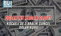 Dolar Ne Kadar Oldu? Kocaeli'de 3 Aralık Güncel Dolar Kuru