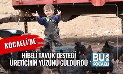 Kocaeli’de Hibeli Tavuk Desteği Üreticinin Yüzünü Güldürdü