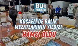 Kocaeli’de Balık Mezatlarının Yıldızı Hamsi Oldu
