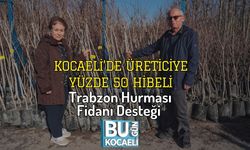 Kocaeli’de Üreticiye Yüzde 50 Hibeli Trabzon Hurması Fidanı Desteği