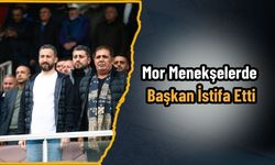 Mor Menekşelerde Başkan İstifa Etti