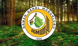 Orman Genel Müdürlüğü 26 İşçi İstihdam Edecek