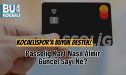 Kocaelispor’a Büyük Destek! Passolig Kart Nasıl Alınır, Güncel Sayı Ne?