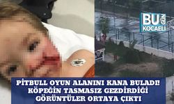 Pitbull Oyun Alanını Kana Buladı! Köpeğin Tasmasız Gezdirdiği Görüntüler Ortaya Çıktı