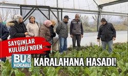 Saygınlar Kulübü’nden Karalahana Hasadı!